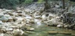 Τα σχεδιαζόμενα μικρά υδροηλεκτρικά στην Οξυά επισκέφθηκε ο βουλευτής του ΣΥΡΙΖΑ Σπ. Λάππας