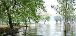 Αρχίζει η εκπόνηση Ειδικών Περιβαλλοντικών Μελετών και η κατάρτιση Σχεδίων Διαχείρισης όλων των περιοχών Natura 2000