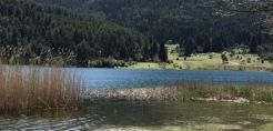 διαΝΕΟσις: Η αξιοποίηση των περιοχών Natura θα μπορούσε να δημιουργήσει 15.000 θέσεις εργασίας
