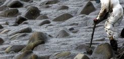 «Καμπανάκι» WWF για τα ναυτικά ατυχήματα (και) στη Μεσόγειο