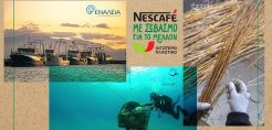 Πρωτοβουλία Nescafe για τα πλαστικά μιας χρήσης