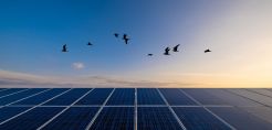 Με «επιδότηση» των προμηθευτών το net-metering με ενεργειακό συμψηφισμό – Διαρκώς αυξανόμενη η «τρύπα» στα ταμεία των εταιρειών