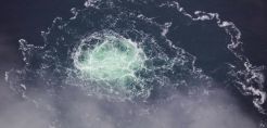 [node:title]