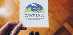 ΟΦΥΠΕΚΑ: Σε λειτουργία η ηλεκτρονική βάση δεδομένων για την υποβολή των εκθέσεων ανθρακικού αποτυπώματος