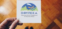 Εγκρίθηκε από το ΥΠΕΝ ο προϋπολογισμός του οικονομικού έτους 2026 του ΟΦΥΠΕΚΑ