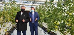 Επίσκεψη του Δημάρχου Θέρμης στο πρωτοποριακό θερμοκήπιο της ΟΕΤ