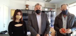 Κατακόκκινες … «ελπίδες» από το πρώτο 100% πράσινο θερμοκήπιο στη Θέρμη!