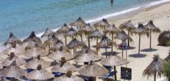 Μ. Τράτσα: Δεν... παίζει στις παραλίες το υπουργείο Περιβάλλοντος