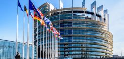 Νέοι κανόνες εγκρίθηκαν από το Ευρωκοινοβούλιο για περιορισμό της παγκόσμιας αποψίλωσης δασών