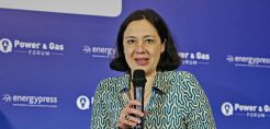 Σάρδη: Να αποφύγουμε την υπερρύθμιση της αγοράς CCS