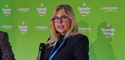 Ντ. Βασιλείου: Ο ΕΛΑΠΕ είναι η αποτύπωση της ενεργειακής μετάβασης με οικονομικούς όρους 
