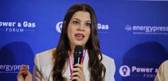 Παληαρούτα: Θα τηρηθεί το χρονοδιάγραμμα όσον αφορά την αδειοδότηση της πρώτης ερευνητικής γεώτρησης στο Ιόνιο