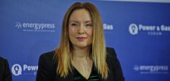 Αθ. Καλαϊτζόγλου: Απειλή για την πράσινη μετάβαση η εκτίναξη του ενεργειακού κόστους