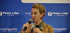 Σδούκου: Επόμενη πρόκληση η υλοποίηση των στόχων του αναθεωρημένου ΕΣΕΚ 