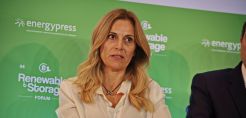 Κάραλη (Elpedison): Τα έκτακτα μέτρα και ο διαχωρισμός της αγοράς "πυροβολούν" την τεχνολογική ουδετερότητα και τη γεωγραφική σύζευξη