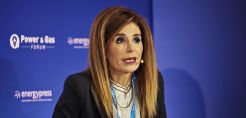 Τροκούδη (HELLENiQ ENERGY): Περισσότερη σαφήνεια στους επόμενους διαγωνισμούς αποθήκευσης