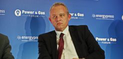 Πετροπουλέας (Elpedison): Η ελληνική αγορά είναι πολύ ρυθμιζόμενη - Επιβαρύνουν προμηθευτές και καταναλωτές τα τέλη και οι φόροι του αερίου