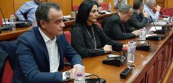 Το Περιφερειακό Συμβούλιο Δυτ. Μακεδονίας δεν έκανε δεκτό το ΕΣΕΚ και ζήτησε να κηρυχθεί η περιοχή σε κατάσταση εκτάκτου ανάγκης