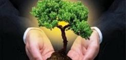 Σε πνεύμονα πρασίνου μετατρέπεται χωματερή στο Ηράκλειο