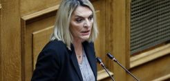 Π. Πέρκα: Η Κυβέρνηση δεν θα αντέξει την ακρίβεια και την έκρηξη των τιμών
