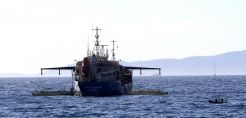 Π. Χαλάτση: Οι κυβερνήσεις «κώφευαν» στον κίνδυνο πετρελαιοκηλίδας