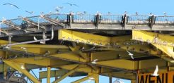 Πρωτοποριακή συνεργασία Energean-Orsted: Επαναχρησιμοποίηση πλατφόρμας φυσικού αερίου προς όφελος υπεράκτιων αιολικών πάρκων