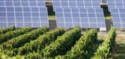 Σκωτία: 2.4 εκατ. δολ. στους αγρότες για φωτοβολταϊκά