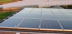 Χ. Φλουδόπουλος - Νet metering: Τι είναι, γιατί ποντάρει σε αυτό η φωτοβολταϊκή αγορά