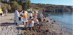 Με εντατικούς ρυθμούς συνεχίζεται η επιχείρηση καθαρισμού θάλασσας και ακτογραμμής στο Σαρωνικό