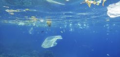 Το πρόγραμμα Clean Blue Paros, μία πρωτοβουλία της Common Seas, στηρίζει έμπρακτα τις επιχειρήσεις φιλοξενίας και εστίασης να μειώσουν το πλαστικό τους αποτύπωμα