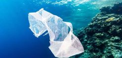 ΙΕΛΚΑ: Ελληνική πρωτιά στην κατανάλωση πλαστικής σακούλας