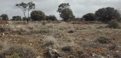 Συμμετοχή της ABO Wind στο Renewable &amp; Storage Forum του energypress