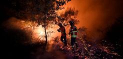 Στάχτη έγιναν χιλιάδες στρέμματα δάσους στην Πορτογαλία
