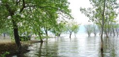 Το περιβαλλοντικό βραβείο Natura 2000 εγκαινίασε η Κομισιόν