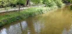 Νέος ειδικά διαμορφωμένος ιστότοπος για τη διαβούλευση των Προσχεδίων της 1ης Αναθεώρησης των Σχεδίων Διαχείρισης Λεκανών Απορροής Ποταμών