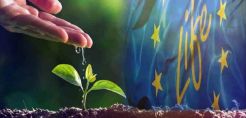 30 χρόνια πρόγραμμα LIFE - Σχεδόν 150 εκατ. ευρώ διέθεσε από τον Οκτώβριο του 2019 το Πράσινο Ταμείο