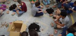 Θεσσαλονίκη: Μαθητές Δημοτικού θέλουν να δημιουργήσουν τον πρώτο αστικό λαχανόκηπο