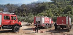 Πυρκαγιά σε αγροτοδασική έκταση στη Μεσσηνία