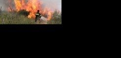 Σε εξέλιξη πυρκαγιά στον Υμηττό - Μαίνεται η πυρκαγιά στο Φαρακλό Λακωνίας