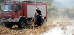 «Καμπανάκι» από WWF για τη δασοπροστασία
