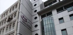 WWF: Περισσότερα από 180.000 στρέμματα καμένων δασικών εκτάσεων σε λίγες μόλις μέρες