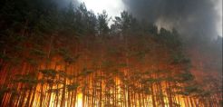 Ελλοχεύουν κίνδυνοι για τον πλανήτη από τις πυρκαγίες στη Ρωσία
