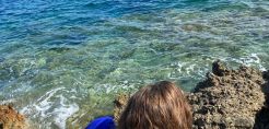 Survey Digital Photovoltaics: Αλματώδης και εντυπωσιακή εξέλιξη