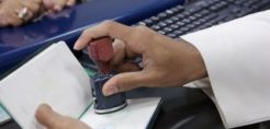 Υπηρεσίες “One Stop Shop” για την είσοδο στη γερμανική αγορά 