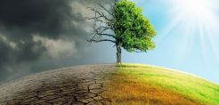 Τα δύο τρίτα των τροπικών δασών έχουν καταστραφεί ή υποβαθμισθεί