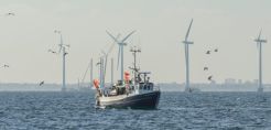 Σχέδιο μείωσης των εκπομπών διοξειδίου του άνθρακα από την αλιεία ανακοίνωσε η Κομισιόν