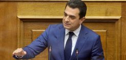 Σκρέκας: Ανώτατο πλαφόν στα 5 ευρώ για τα πάγια - Πάνω από 500 εκατ. ευρώ τον Ιούλιο τα έσοδα για το ΤΕΜ και τις επιδοτήσεις