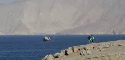 [node:title]