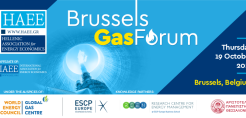 Στις 19 Οκτωβρίου στις Βρυξέλλες το "HAEE Brussels Gas Forum"