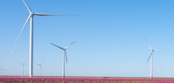 WindEurope: Τι χρειάζεται να αλλάξει στην αδειοδότηση των ΑΠΕ, τη φορολογία και τα διμερή συμβόλαια